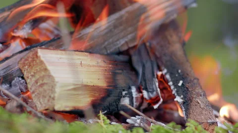 Close up shot of warm cozy burning fire in a clean forest Stock Footage 141253253