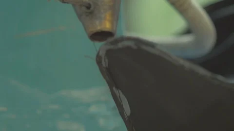Close up shot of warming a leather for shoe making Stock Footage 107968895