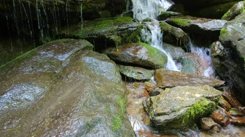 Close up shot of water cascading over stones and moss covered rocks. Stock Footage 162553150