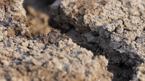 Close shot of water drops dripping in a drought hit field Stock Footage 150249277