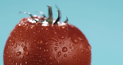 Close up shot of water drops rolling of a tomato Stock Footage 116606021