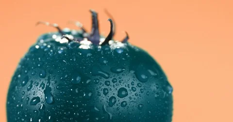 Close up shot of water drops rolling of a green tomato Stock Footage 116611371