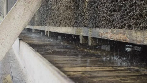 Close up Shot of Water Flowing Down Vidéo 166142883