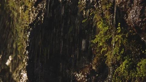 A close-up shot of water flowing over rocks and greenery at a waterfall Stock Footage 167611245