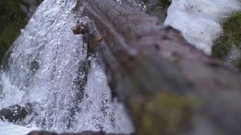 Close up shot water rolling off log in Alaskan stream Stock Footage 85101529
