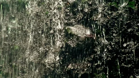 Close-up shot of waterfall falling on rocky cliff Stock Footage 259852902