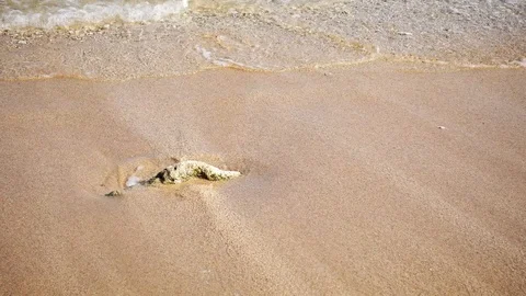Close Up Shot of Waves Rolling Up White Sand Beach 스톡 동영상 124624450