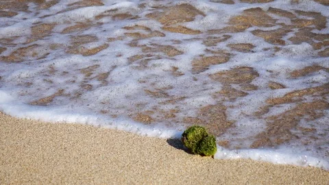 Close Up Shot of Waves Rolling Up White Sand Beach Stock-Footage 124625423