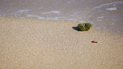 Close Up Shot of Waves Rolling Up White Sand Beach Video stock 124625665