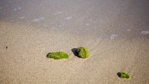 Close Up Shot of Waves Rolling Up White Sand Beach Stock-Footage 124626200