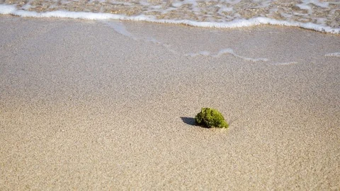 Close Up Shot of Waves Rolling Up White Sand Beach Stock-Footage 124626317