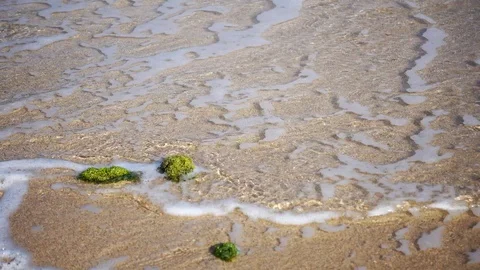 Close Up Shot of Waves Rolling Up White Sand Beach Stock-Footage 124627835