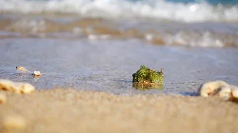 Close Up Shot of Waves Rolling Up White Sand Beach Video stock 124632538