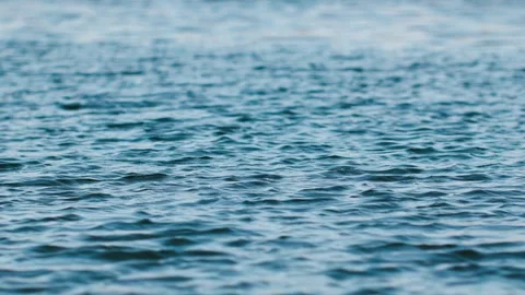 Close-up shot of the waves on the windy lake. Stock Footage 295419743