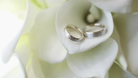Close-up shot of Wedding rings lying on the wedding bouquet. 動画素材 170412487