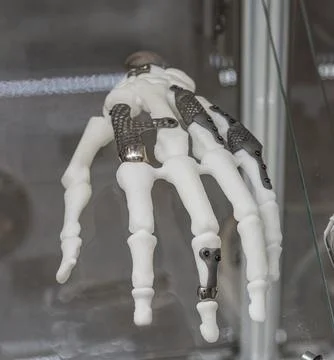 A close-up shot of a white 3D-printed human hand skeleton model, showcasing c Stock Photos