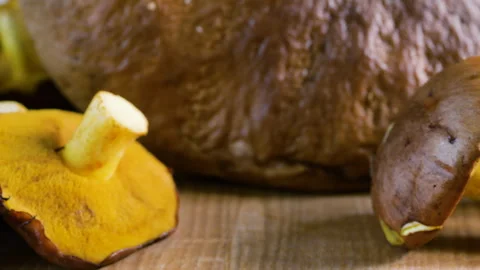 Close up shot of wild porcini and boletus mushrooms rotating on a wooden board. Vídeos de archivo 347103653