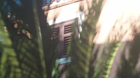 Close-up shot of the window of an old building through the green leaves of a Stock Footage 220668752