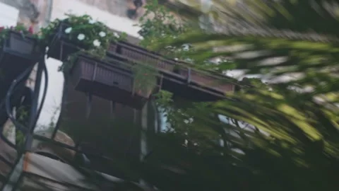 Close-up shot of the window of an old building through the green leaves of a Stock Footage 220668777