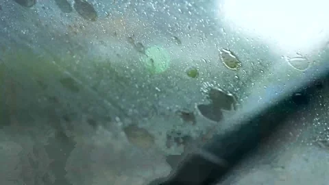 Close-up shot of windshield wipers in the rain Vidéo 277225490