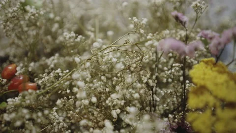 Close up shot of winter flowers, ready to be assembled into a Christmas wreath Stock Footage 168582715