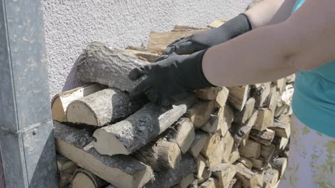 Close-up shot of a woman's hand stacking chopped firewood Stock Footage 288084982