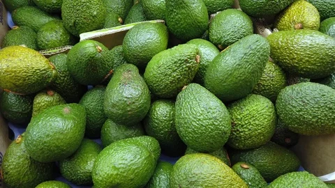 Close-up Shot of the Woman's Hand Taking Avocado from the Supermarket Stock Footage 122329324
