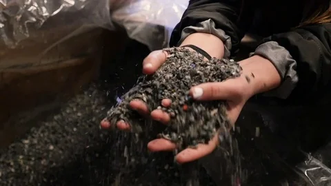 Close-Up Shot Of Woman's Hands Picking Up Ground Recycled Plastic Stock Footage 77319501