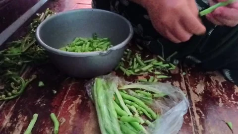 Close-up shot of a woman's hands preparing fresh green beans (French beans) 스톡 동영상 321936439