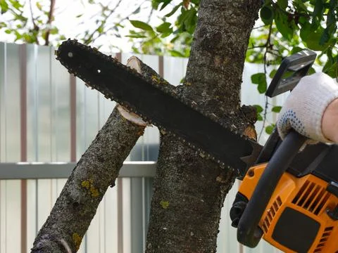 A close-up shot of a worker cutting a tree branch with a chainsaw in a garden Foto stock
