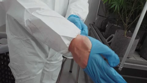 Close-up shot of a worker putting on blue nitrile gloves before starting work Stock Footage 336995756