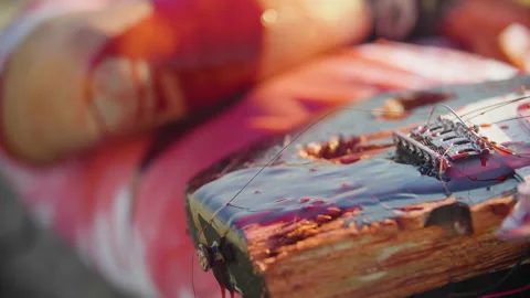 Close up shot of a wounded bleeding musician lying on his back  Stock Footage 293113806