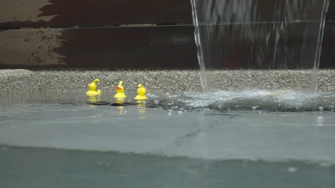 Close up shot of yellow rubber ducks floating under a waterfall. Stock Footage 318620260