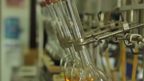 Close up shot of yellow test tubes in science laboratory. Stock-Footage 152109972