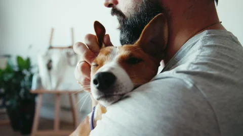 Close up shot of young bearded man hugging and kissing his cute friend brown Stock-Footage 137721226
