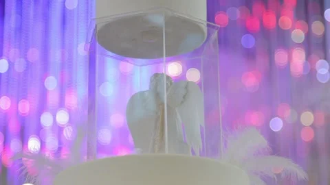 Close-up shots of an angel 6 Video stock 315413354
