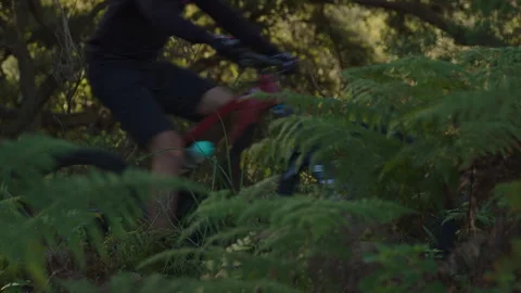 Close-up shots of forest and bikes passing Stock Footage 308877321