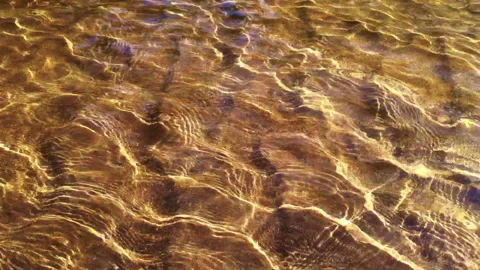 Close shots of freshwater with light reflex near a riverbank Stock Footage 276200466
