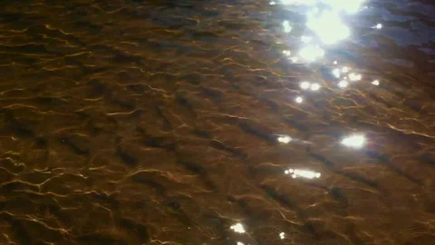 Close shots of freshwater with light reflex near a riverbank Stock Footage 276200469