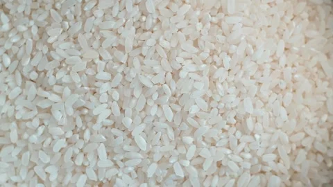 Close-up shots of uncooked rice grains show their natural shape and texture in Stock Footage 338297863