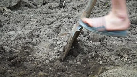 Close-up of a shovel, digging dirt. Hardworking. 動画素材 159721098