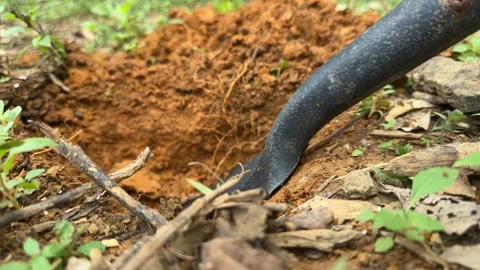 Close-up of Shovel Digging Into Rich Dark Soil. Stock Footage 326778522