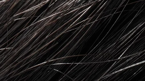 Close-up showcases a hair. Stock Footage 276690619