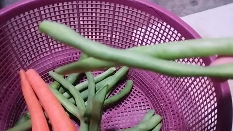 Close-Up Showing Two Green Beans Picked from a Pink Woven Tray Stock Footage 321785951