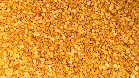 Close up shows a dense layer of split yellow peas covering the entire space 스톡 사진