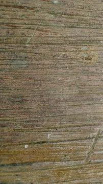 A close-up shows the detailed texture of aged, rough wood with visible grain Stock Photos