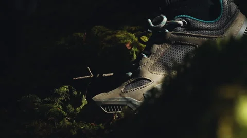 "A close-up shows a foot pressing into soft, lush moss, sinking gently into the  Stock Footage 279558394