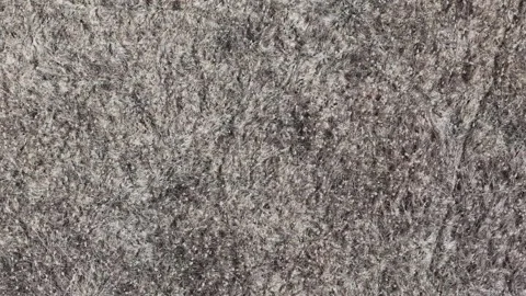 A close-up shows the intricate texture of dense, grey fibrous material Vidéo 334064207