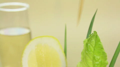 Close Up Shrimp 스톡 동영상 1069096