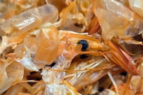 Close-Up of Shrimp Shells: Seafood Texture and Culinary Detail for Food Art Stock Photos